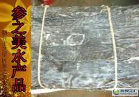 長島特產優質海帶批發 無根寬葉，粗加工水產品供應
