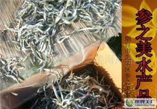 煙臺養馬島馬步魚上市 原味好魚，鮮達四方