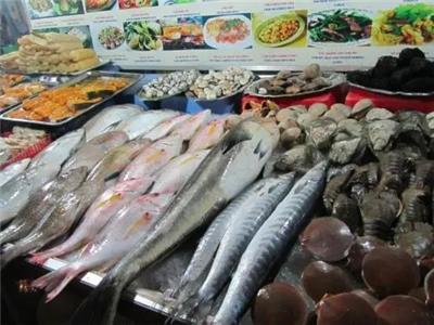水產(chǎn)魚類市場價格與行業(yè)動態(tài)深度解析